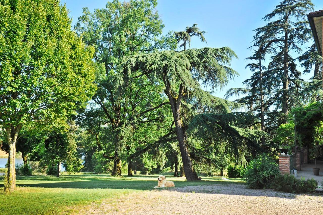 Clos Saint-Blaise Albi Exterior foto